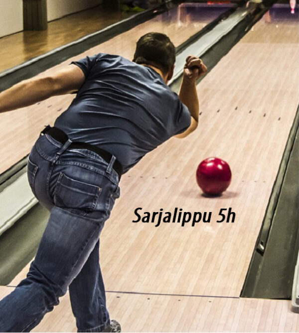 Sarjalippu 5 h